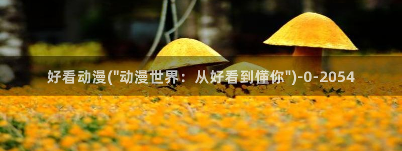 斗罗大陆动漫