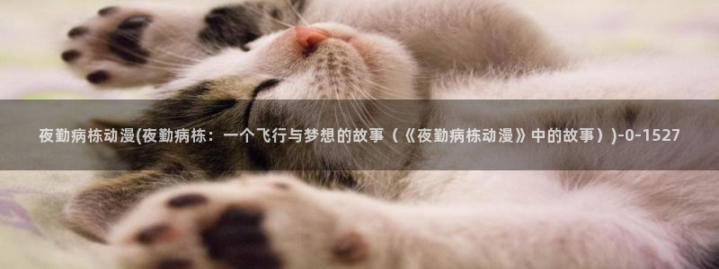 不知火舞动漫