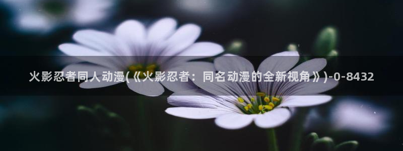 热血动漫