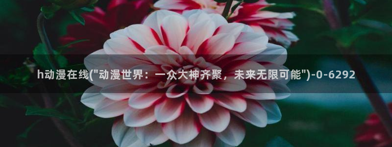 动漫下载