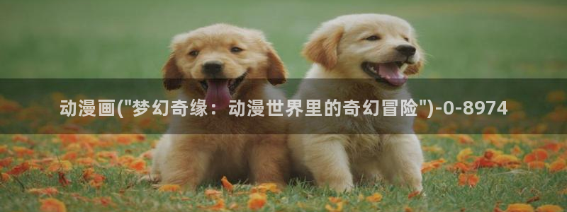 58动漫网