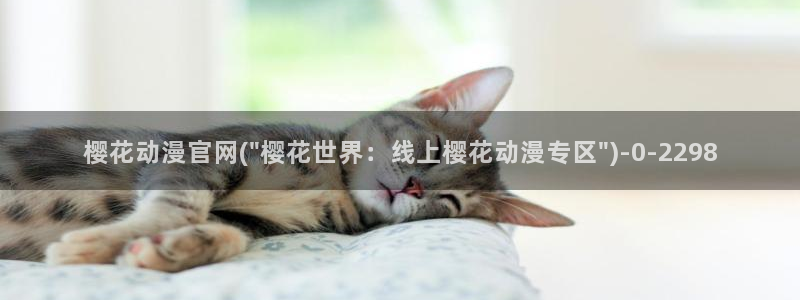 58动漫网